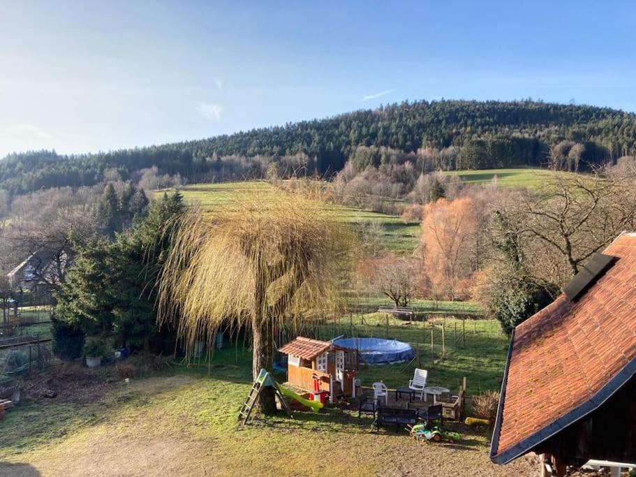 Logement Chaleureux, Vallee De Ville Steige 외부 사진